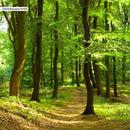 Detailausschnitt Leinwandbild Fensterblick "Wald"