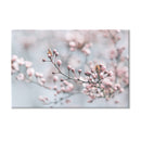 Leinwandbild "Kirschblüte" Hauptbild