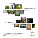 Poster-Set "Wald" Übersicht Komplet beider Seiten. Bestehend aus 14 Landschaftsaufnahmen, Tieren und Detailbilder.