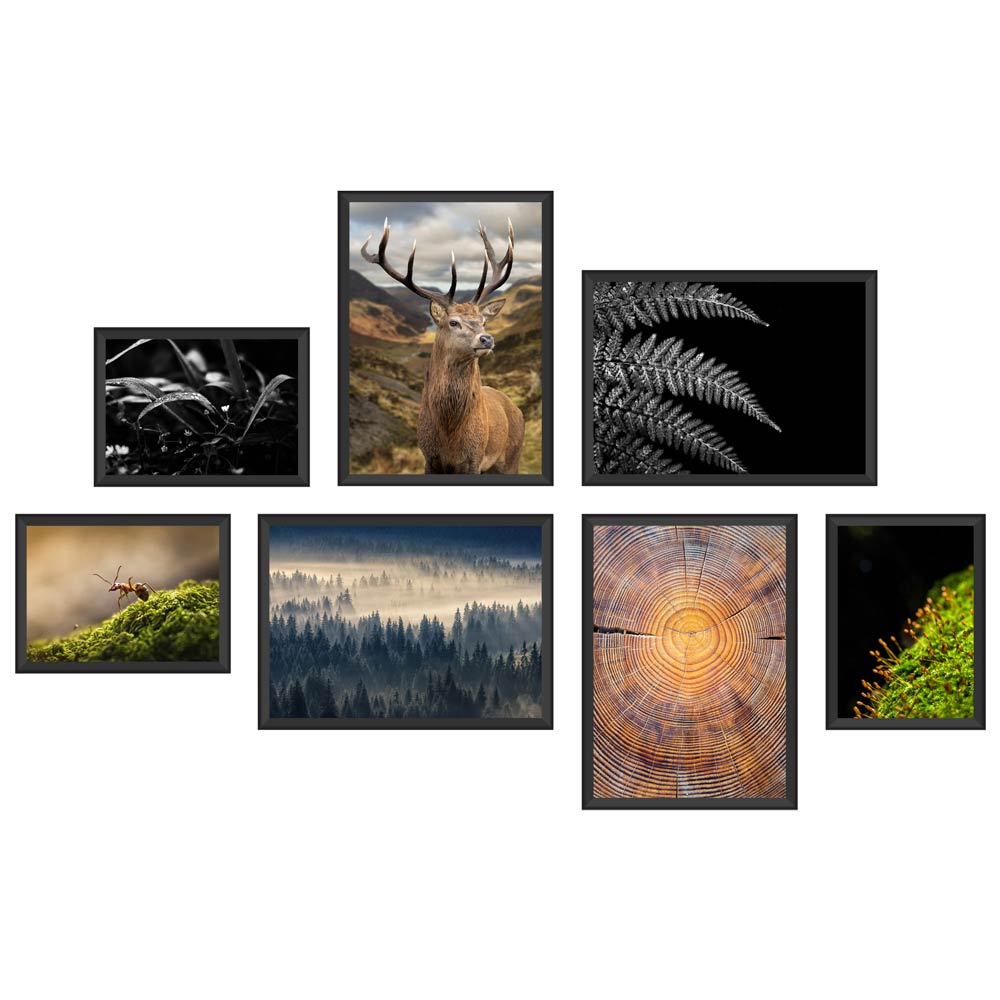 Poster-Set "Wald" Hauptansicht Rückseite als Beispiel in schwarzen Rahmen angeordnet.