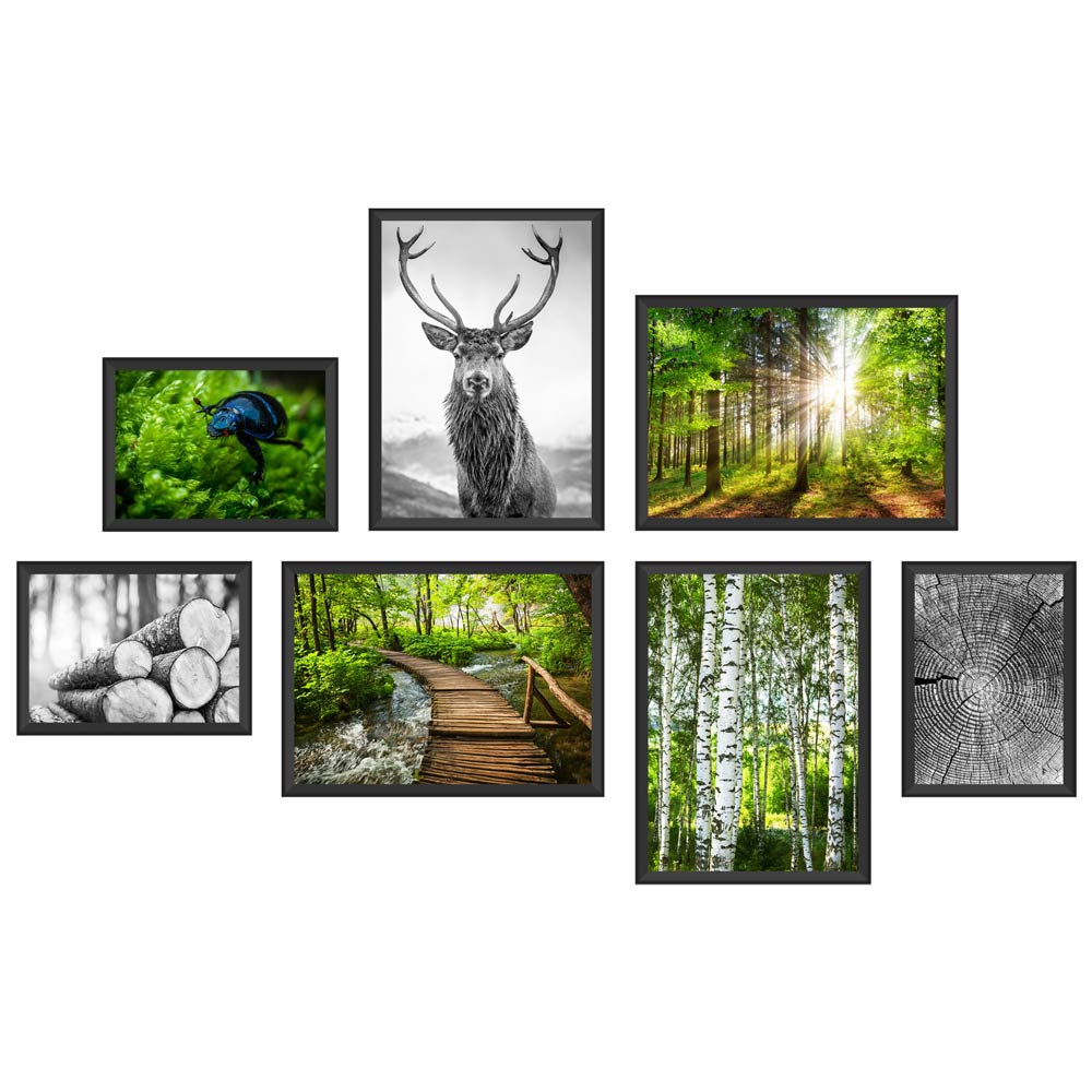 Poster-Set "Wald" Hauptansicht der  Vorderseite. Bestehend aus 7 verschiedenen Fotos zum Thema Wald, wie Natur und Tiere in Farbe und schwarz-weiss.