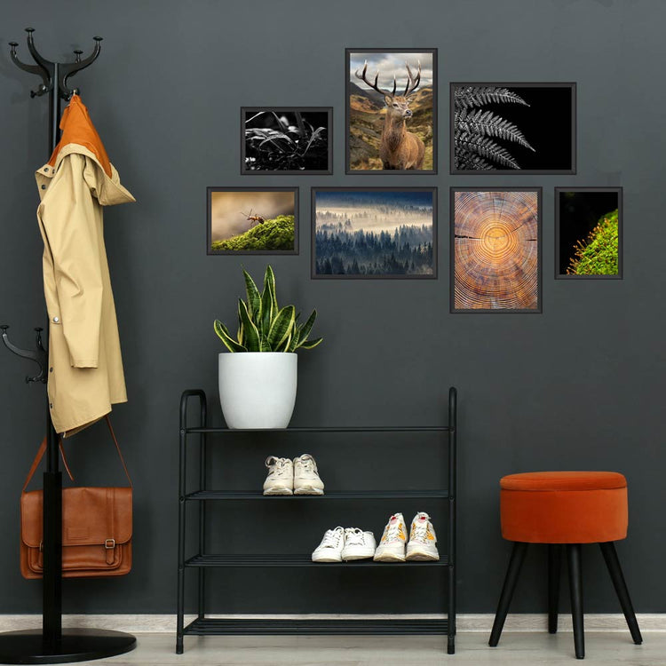 Poster-Set "Wald" Rückseite, neben einer Garderobe, an einer grauen Wand in schwarzen Bilderrahmen als Dekobeispiel.