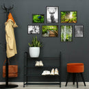 Poster-Set "Wald" Vorderseite, an einer grauen Wand neben einer Garderobe angeordnet.