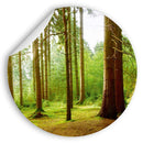 Waldaufkleber im Kreisformat, das eine grüne Waldlandschaft mit hohen Bäumen zeigt, ideal für natürliche Dekoration.