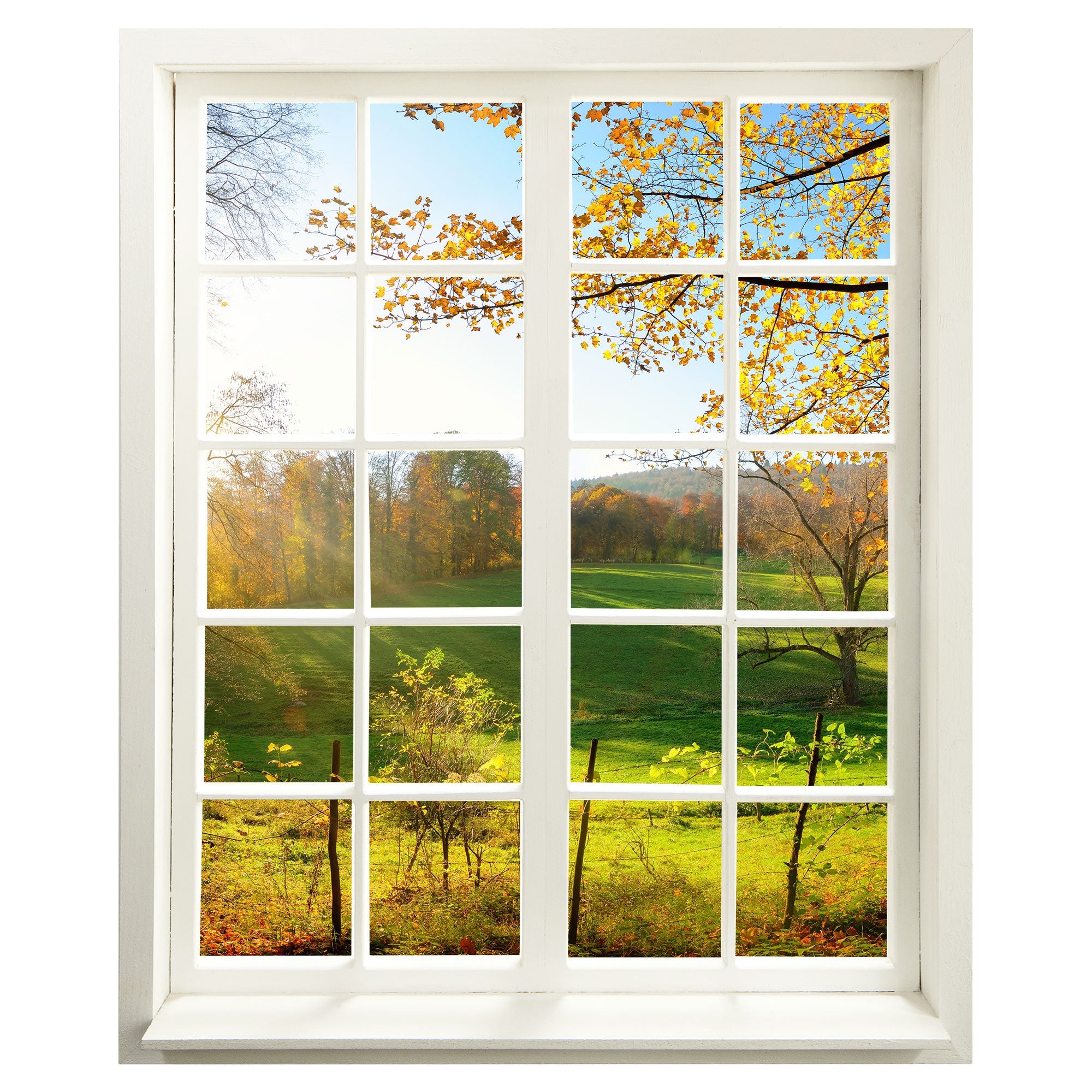 Wandaufkleber mit weissem Fensterrahmen und tollem Ausblick "Waldlichtung" mit grüner Wiese und Sonnenschein- Illusion als Aufkleber. 
