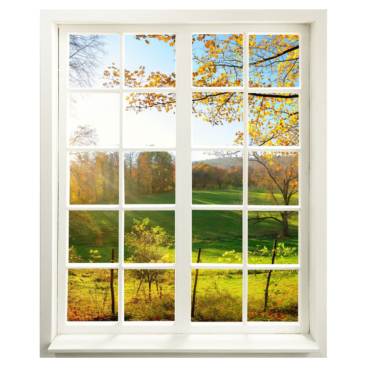 Wandaufkleber mit weissem Fensterrahmen und tollem Ausblick "Waldlichtung" mit grüner Wiese und Sonnenschein- Illusion als Aufkleber. 