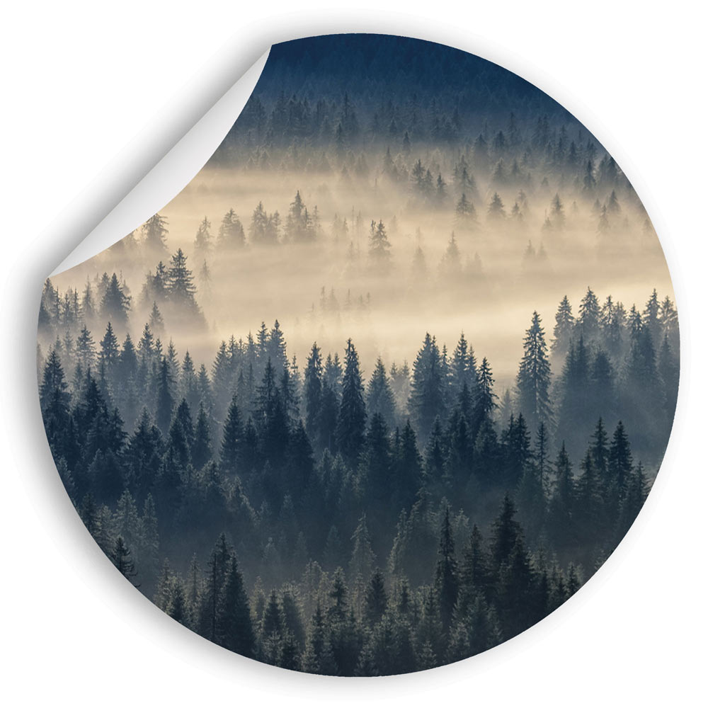 Großansicht eines runden Wandaufklebers mit einem Motiv von einem Wald von oben, zurchzogen von Nebel in düsteren Farben. Das Bild schafft einen 3D Effekt und sorgt für eine Tiefe. An einer Ecke ist es etwas aufgerollt.