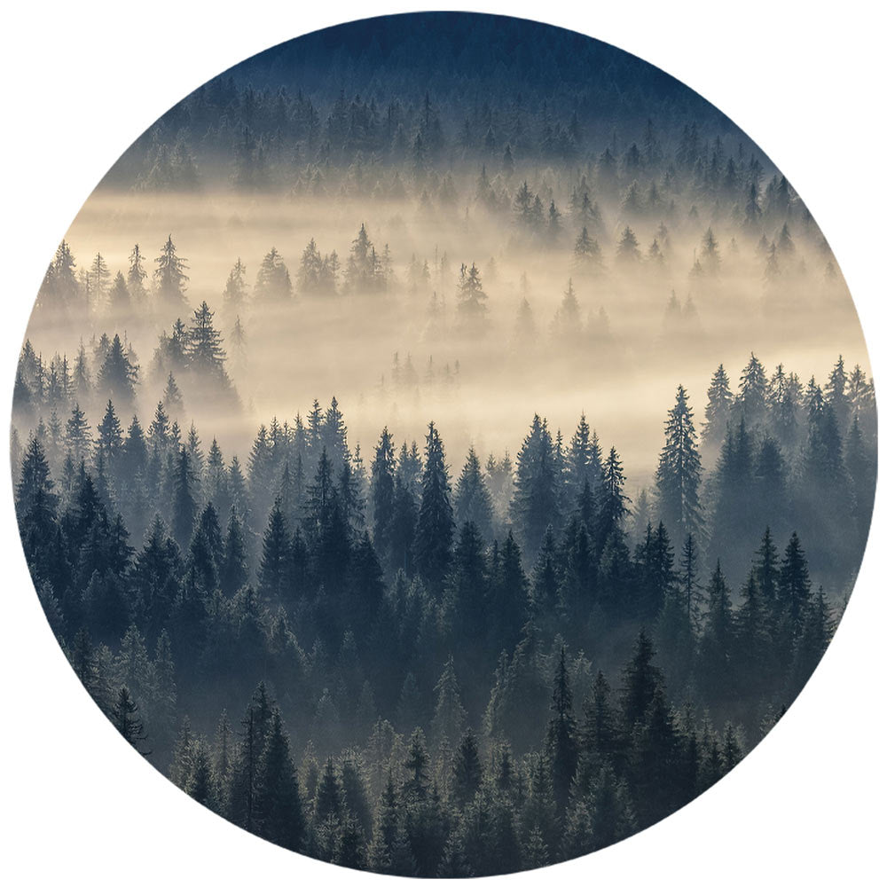 Großansicht eines runden Wandaufklebers mit einem Motiv von einem Wald von oben, zurchzogen von Nebel in düsteren Farben. Das Bild schafft einen 3D Effekt und sorgt für eine Tiefe.