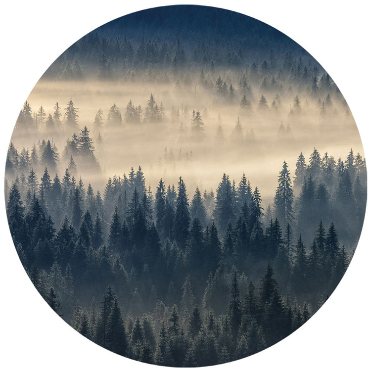 Großansicht eines runden Wandaufklebers mit einem Motiv von einem Wald von oben, zurchzogen von Nebel in düsteren Farben. Das Bild schafft einen 3D Effekt und sorgt für eine Tiefe.