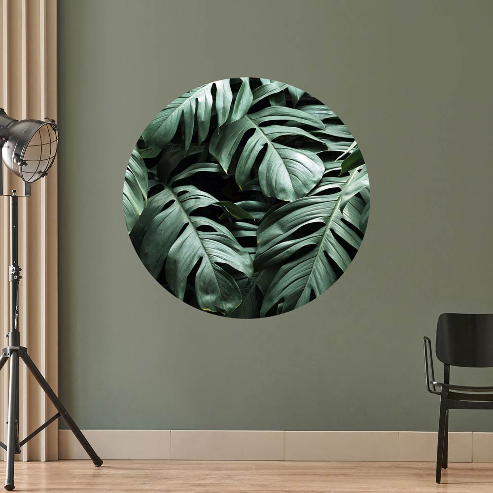 Monstera-Blätter als Wandtattoo in grün. Pflanze im modernen Design für eine stilvolle Wanddekoration.