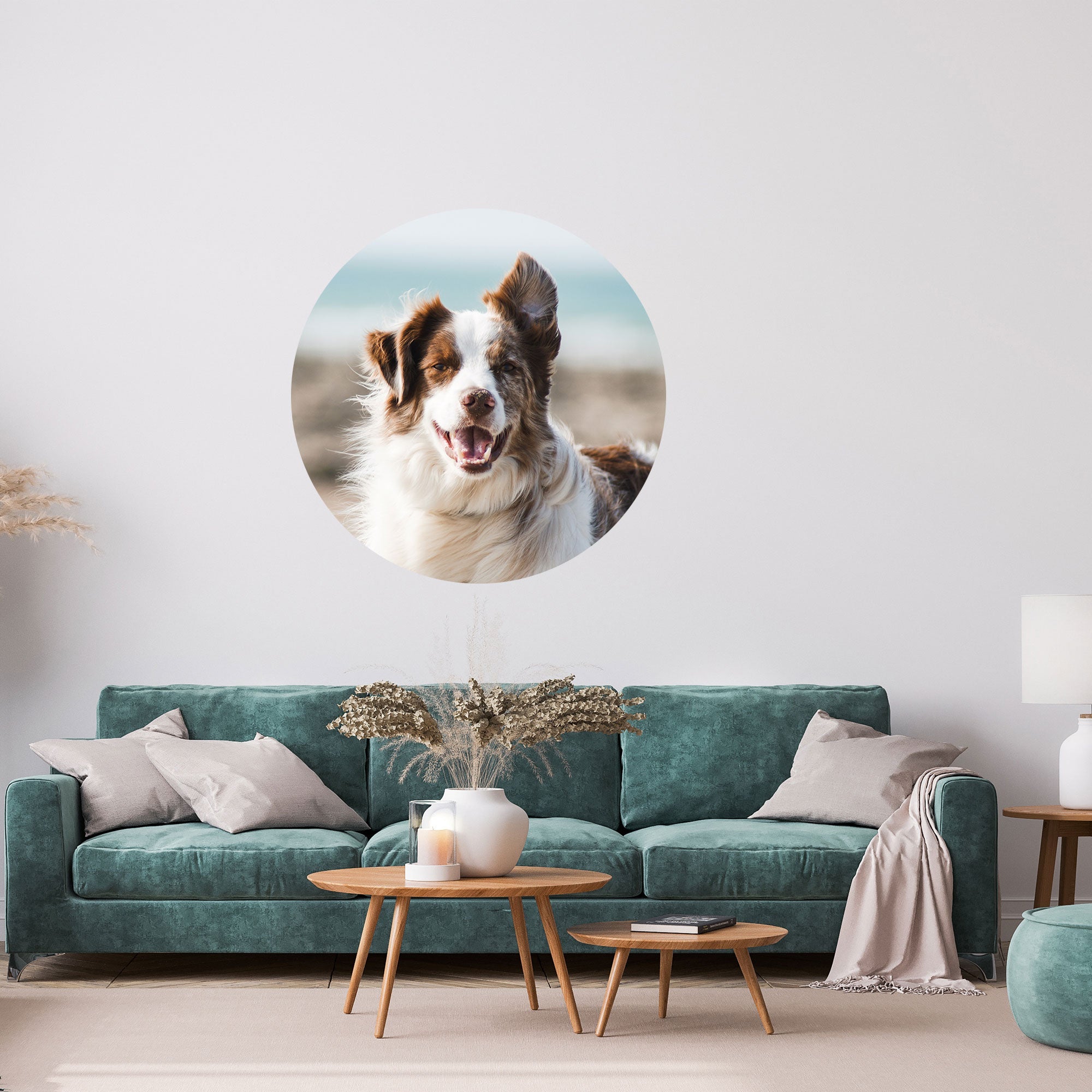 Modernes rundes Wandbild mit einem glücklichen Hund am Strand, stilvoll platziert über einem grünen Samtsofa.