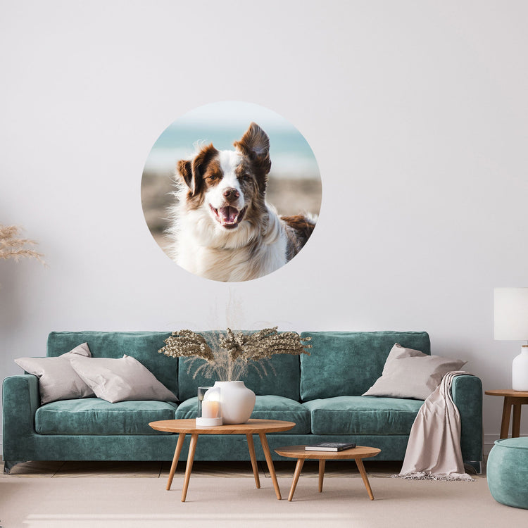 Modernes rundes Wandbild mit einem glücklichen Hund am Strand, stilvoll platziert über einem grünen Samtsofa.