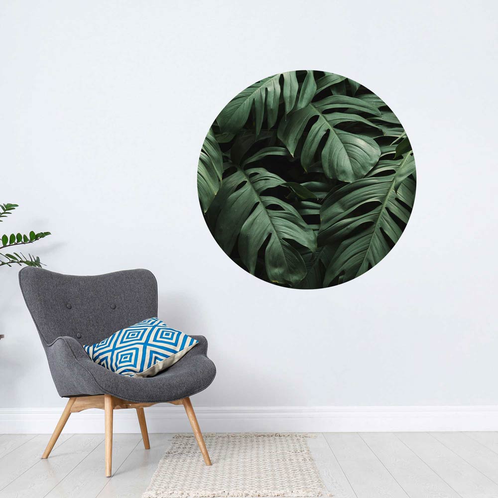 Monstera Blätter Wandtattoo in grün für eine moderne Pflanzenwanddekoration.