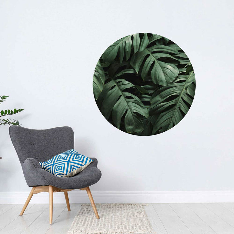 Monstera Blätter Wandtattoo in grün für eine moderne Pflanzenwanddekoration.
