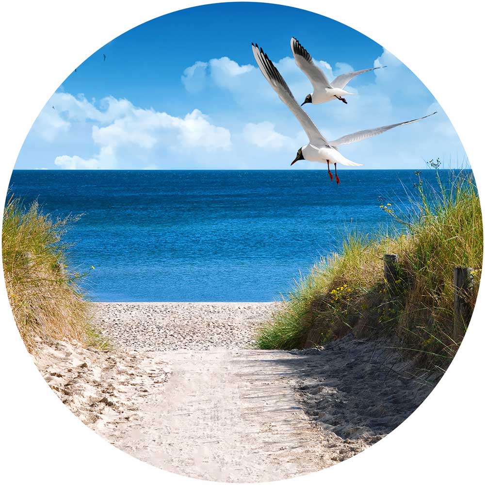 Großansicht eines runden Wandaufklebers mit einem Motiv am Strand mit Möwen. Das Bild schafft einen 3D Effekt und sorgt für eine Tiefe. 