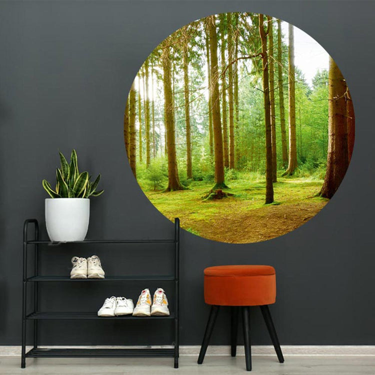 Wald-Wandbild im Kreisformat, das eine grüne Waldlandschaft mit hohen Bäumen zeigt.