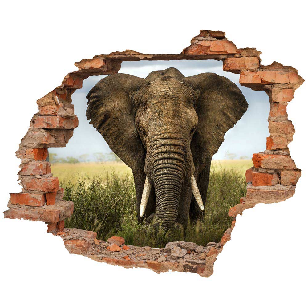 Wall tattoo - Wall breakthrough "Elephant"