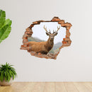 Wandtattoo Mauerdurchbruch "Hirsch" an heller Wand neben großen Zimmerpflanzen verklebt.