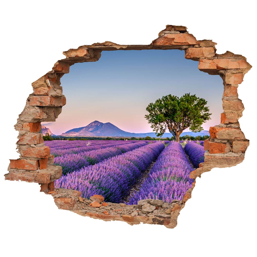 Wall tattoo - Wall breakthrough "Lavender field"