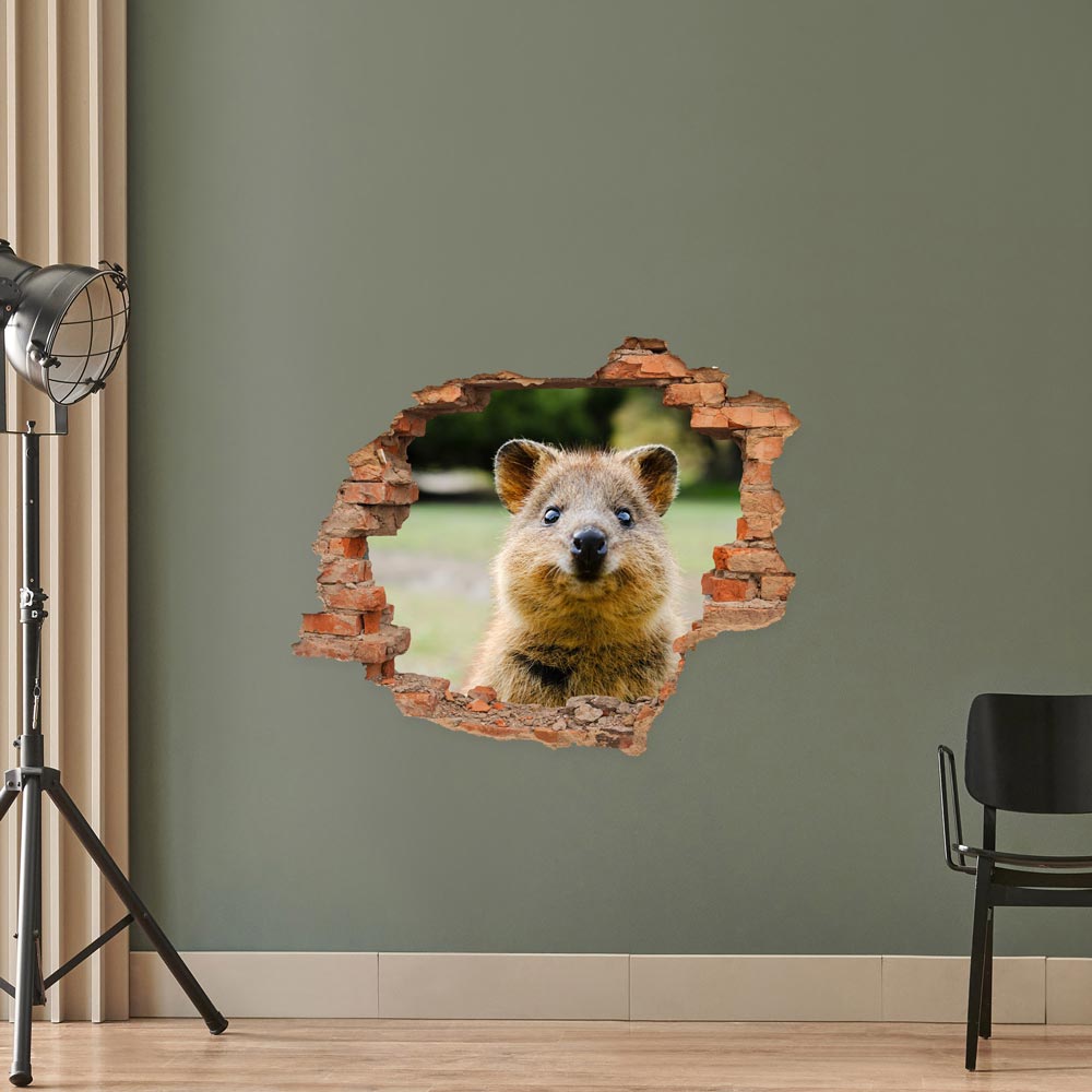 Wandtattoo - Wanddurchbruch "Quokka" als Dekoidee im Studio an einer grünen Wand verklebt.