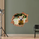 Wandtattoo - Wanddurchbruch "Quokka" als Dekoidee im Studio an einer grünen Wand verklebt.