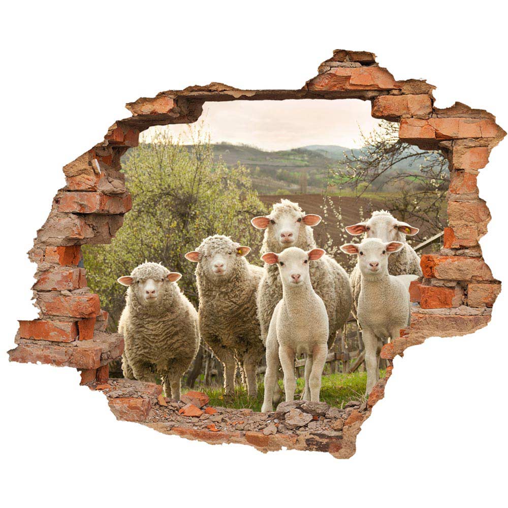 Wall tattoo - Wall breakthrough "Sheep"