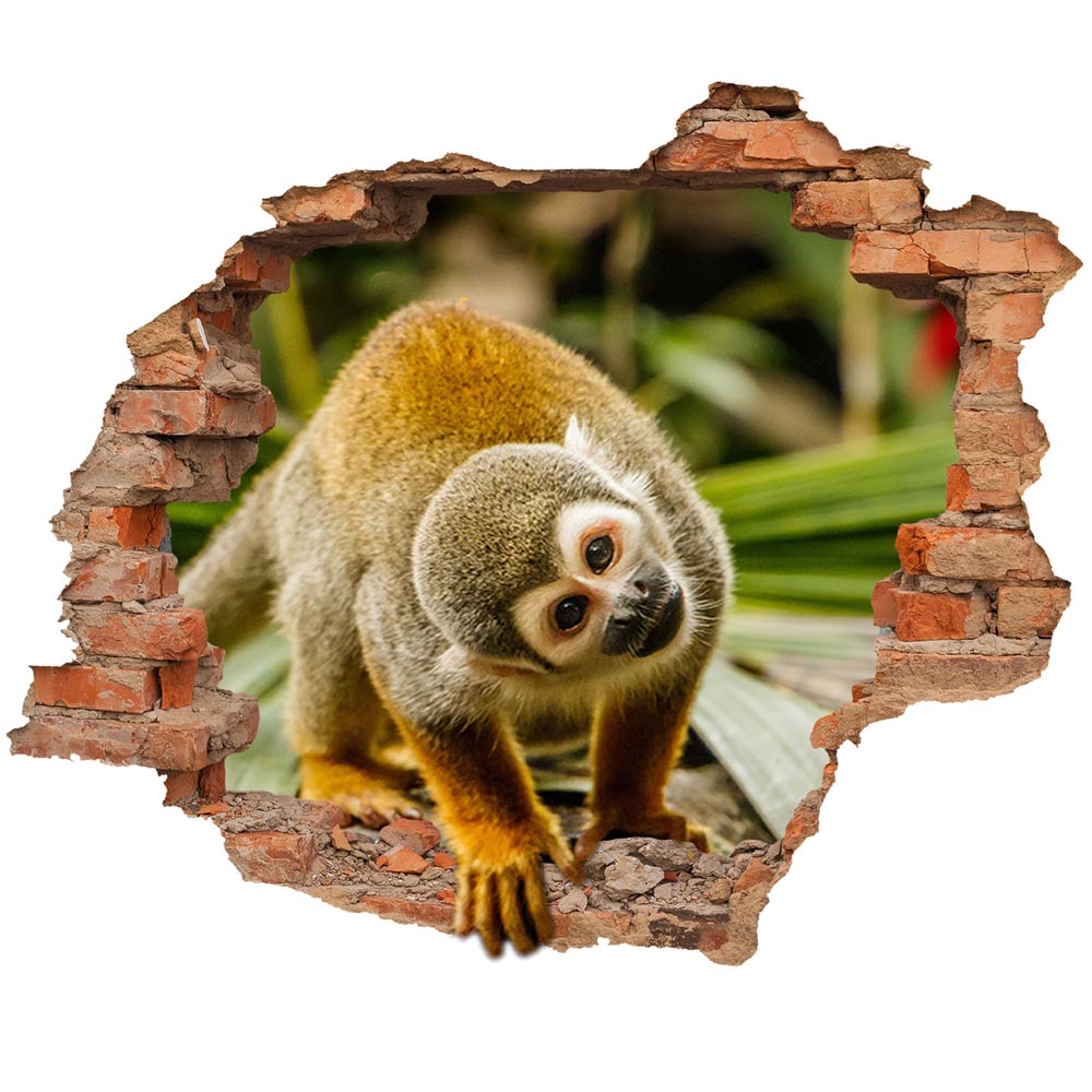 Wall tattoo - Wall breakthrough "Monkey"