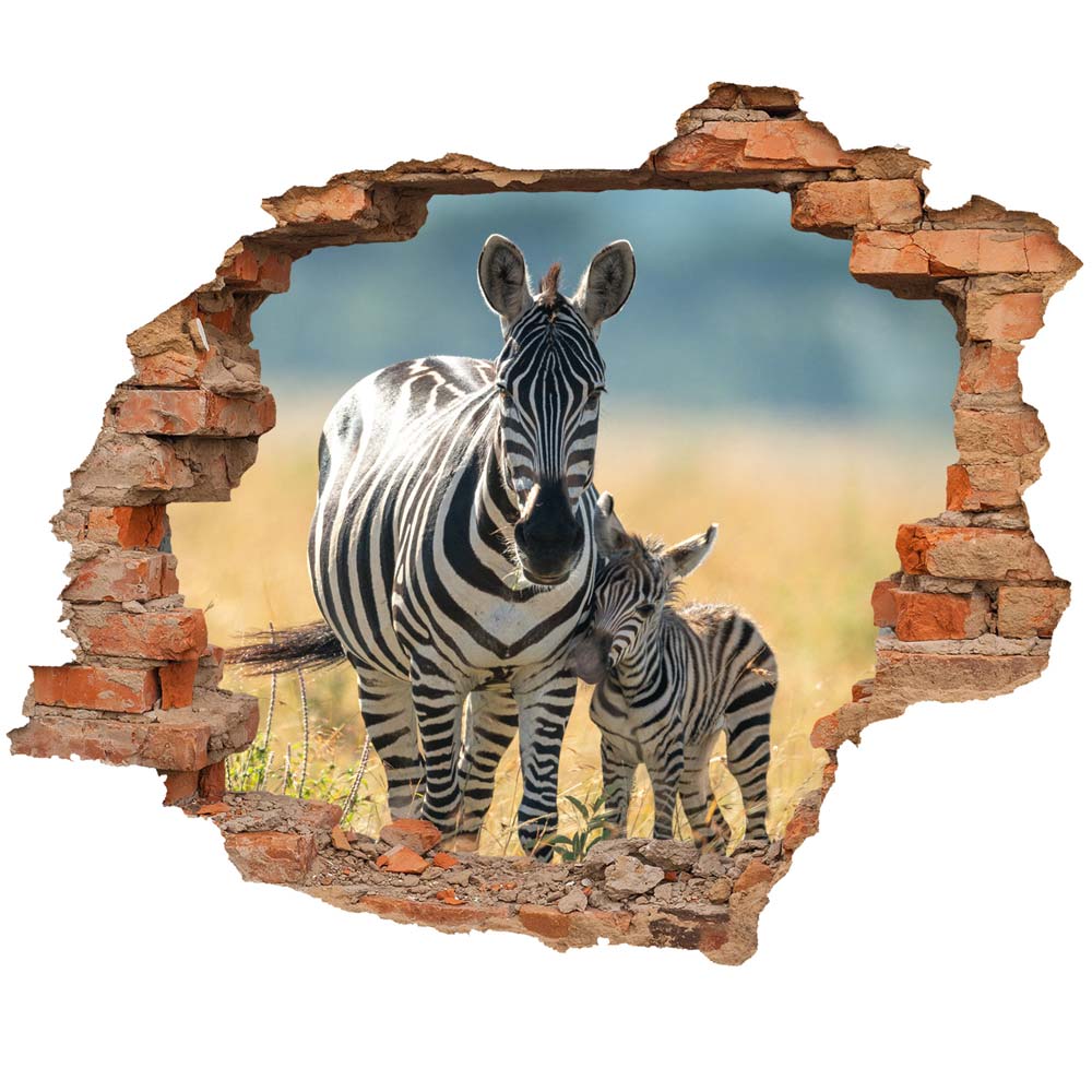Wall tattoo - Wall breakthrough "Zebra with foal"