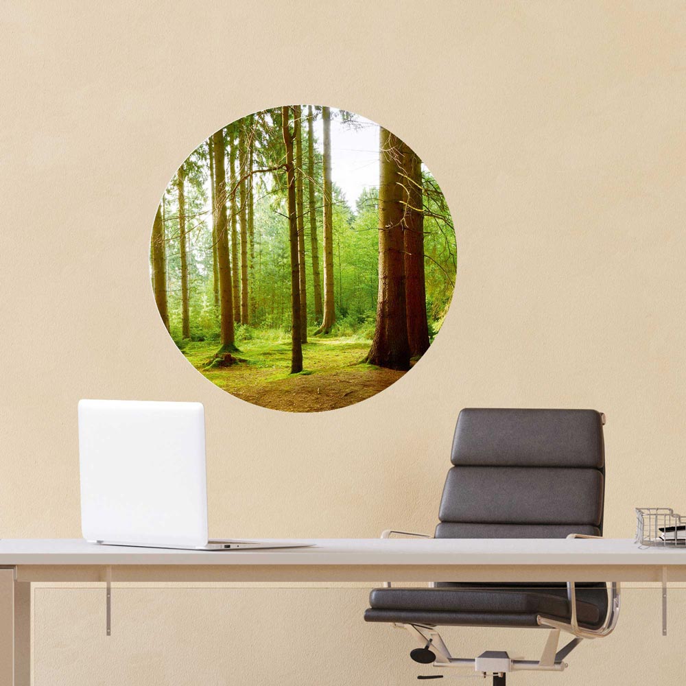 Wald-Wandbild im Kreisformat, das einen grünen Wald mit hohen Bäumen zeigt, perfekt für das Büro.