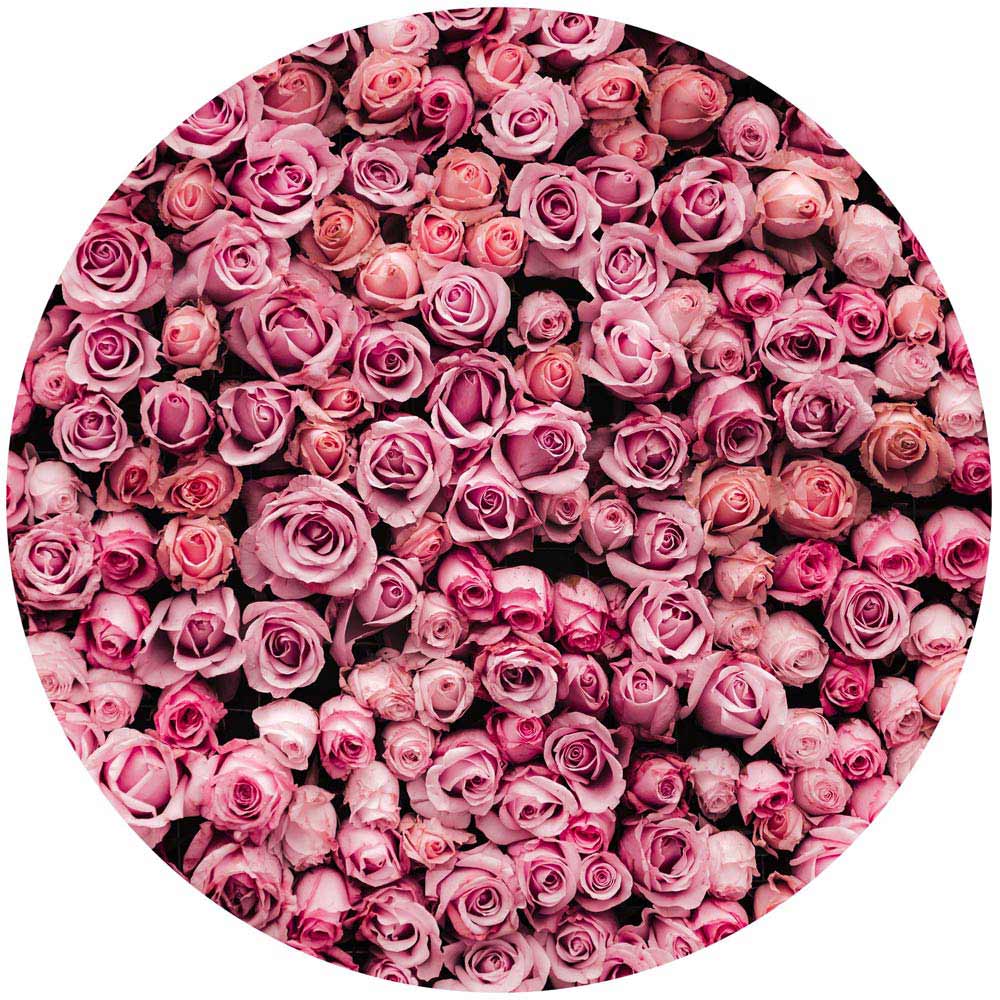 Florales Wandtattoo in runder Form mit pinken Rosenblüten auf schwarzem Hintergrund. Perfekte Wanddekoration für eine romantische Atmosphäre.