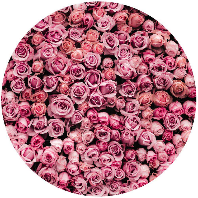 Florales Wandtattoo in runder Form mit pinken Rosenblüten auf schwarzem Hintergrund. Perfekte Wanddekoration für eine romantische Atmosphäre.