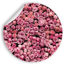 Rundes Wandtattoo mit detailreichen pinken Rosenblüten. Perfekte Wanddekoration für eine romantische Atmosphäre.